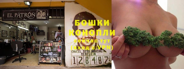 ПСИЛОЦИБИНОВЫЕ ГРИБЫ Елабуга