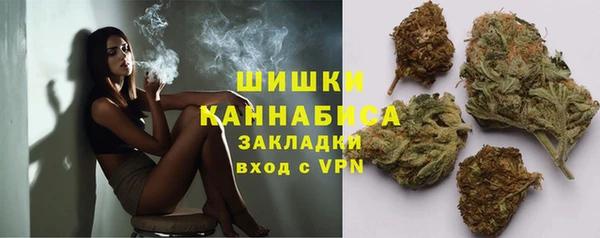 гидропоника Ельня