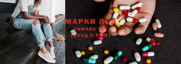 ПСИЛОЦИБИНОВЫЕ ГРИБЫ Елабуга