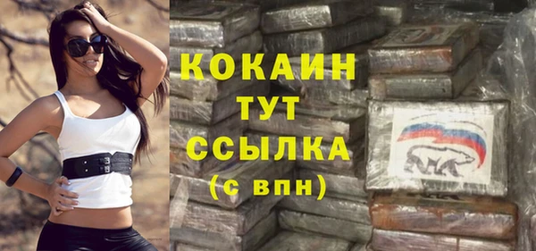 ПСИЛОЦИБИНОВЫЕ ГРИБЫ Елабуга
