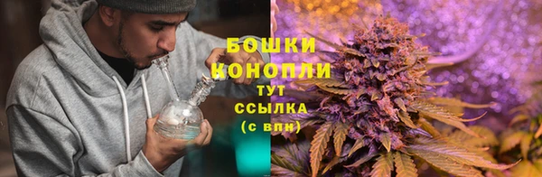 ПСИЛОЦИБИНОВЫЕ ГРИБЫ Елабуга